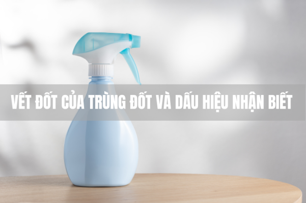 Vết đốt của côn trùng và dấu hiệu nhận biết